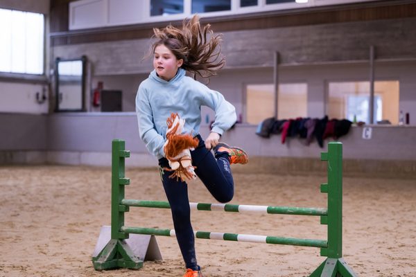 HobbyHorse Springparcour